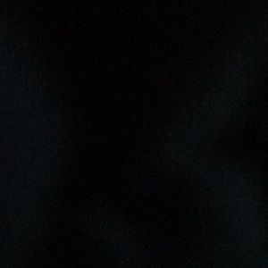 Meet your Posher, Will